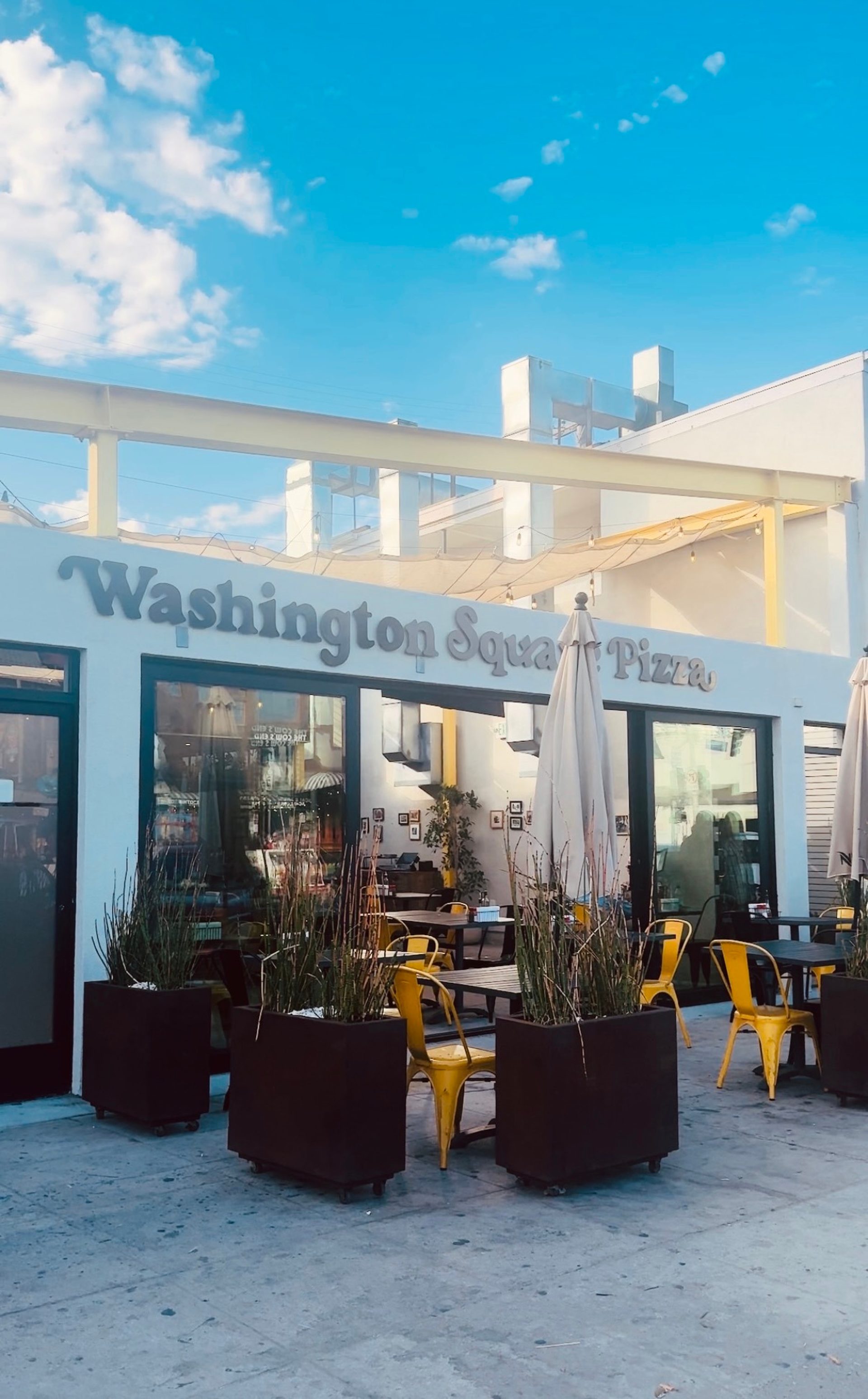 Yo Venice: Now Open