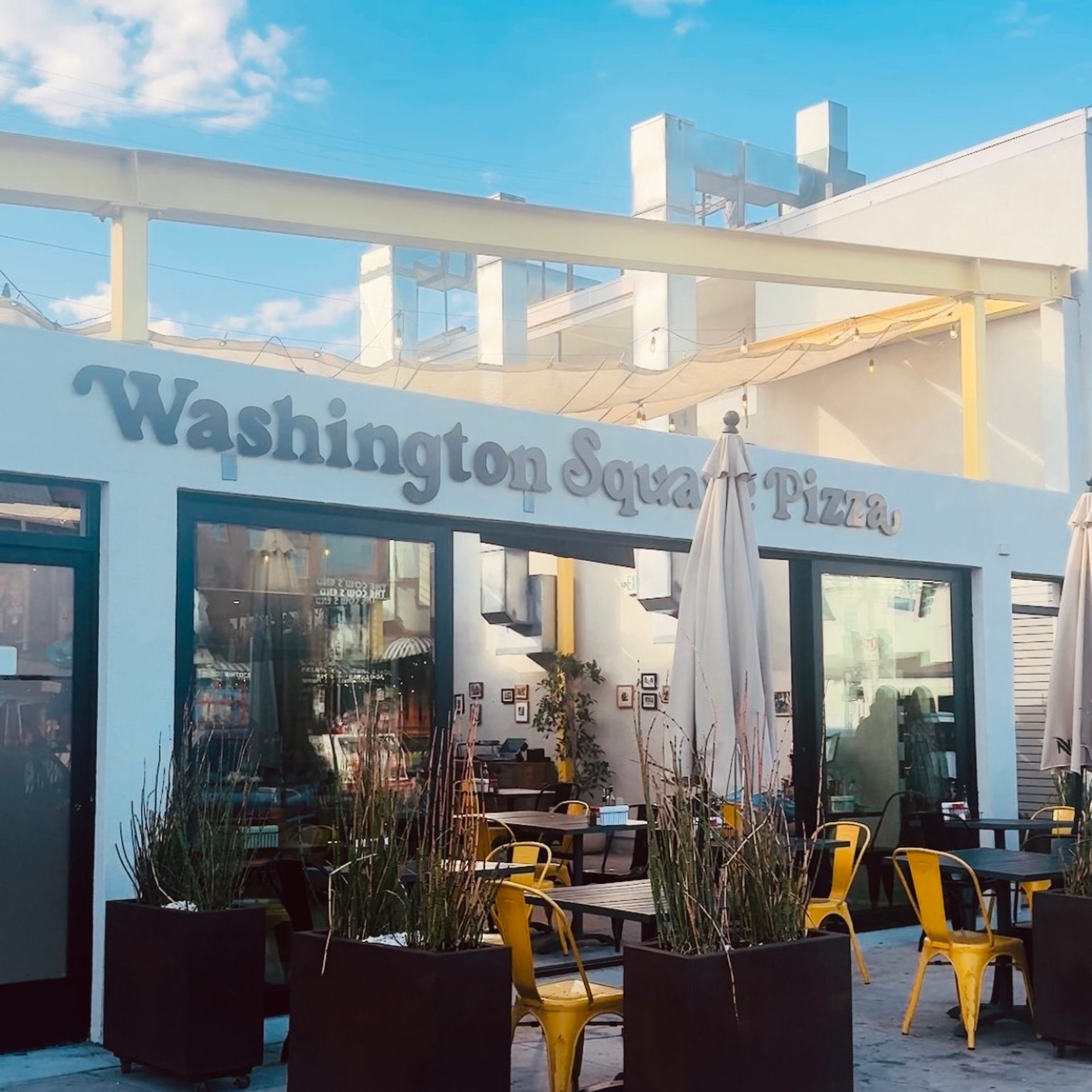 Yo Venice: Now Open